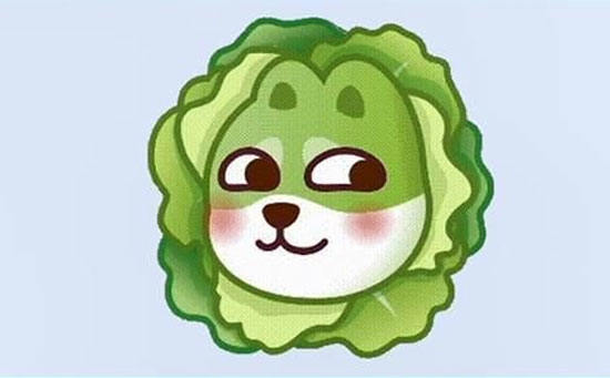 一个白菜里面一只狗的图片