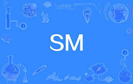 “SM”是什么意思?